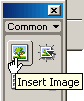 Insert Image Object