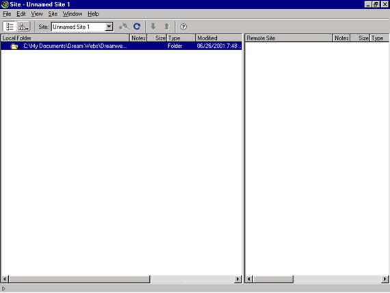 The Site Files Window