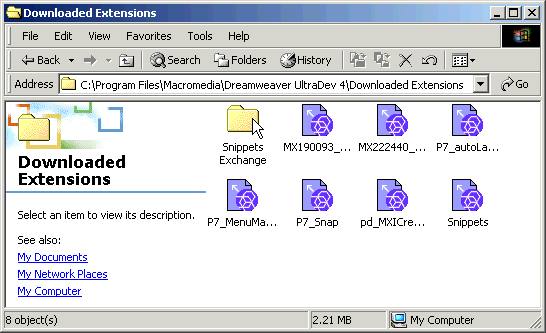 Download to the Downloaded Extensions Folder